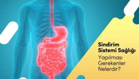 Sindirim Sistemi Sağlığı İçin Nasıl Beslenmeliyiz?