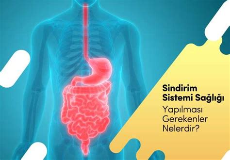 Sindirim Sistemi Sağlığı İçin Nasıl Beslenmeliyiz?